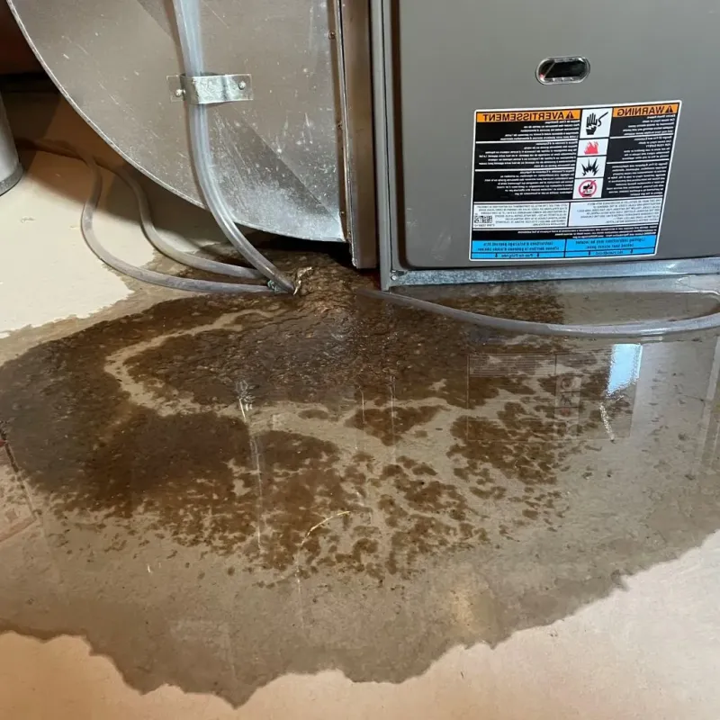 Pipe Burst and Leak Restoration in Incline Village, NV
